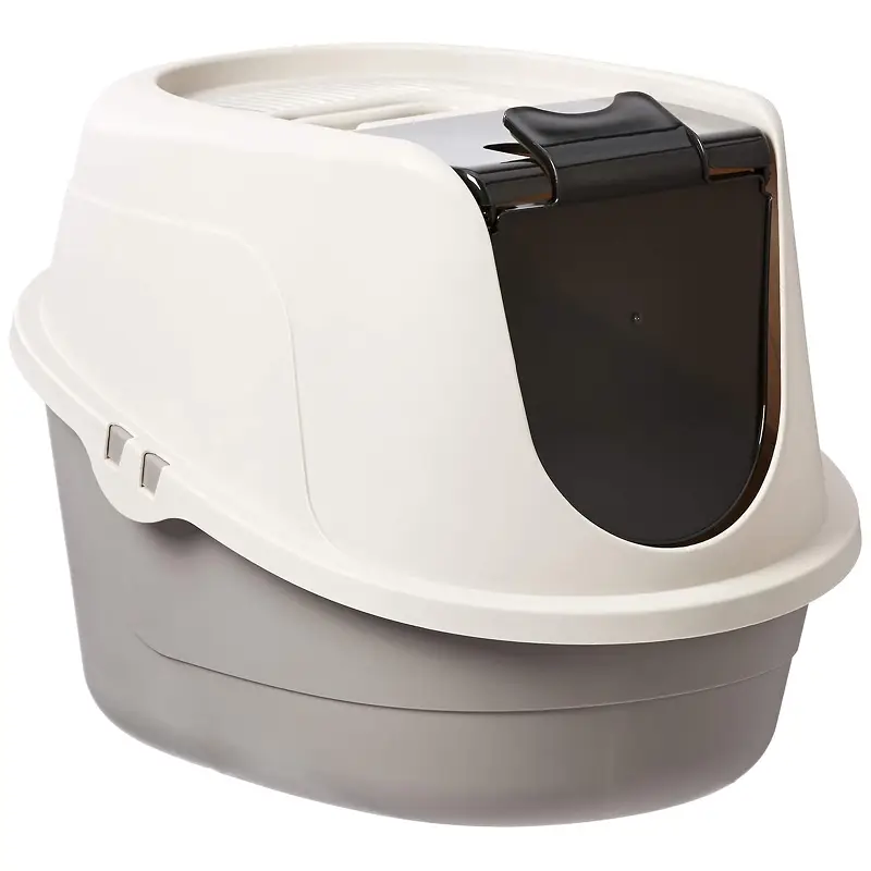 Best Cat Litter Box for Your Lovely Cat